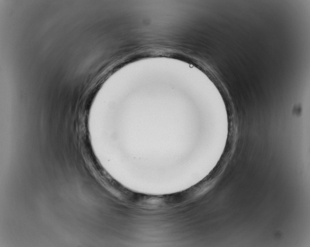 X0000114240325200911201139