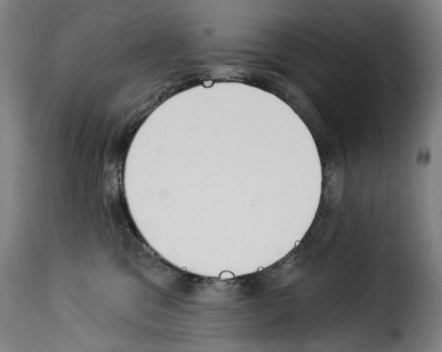 X0000114240329200911201139