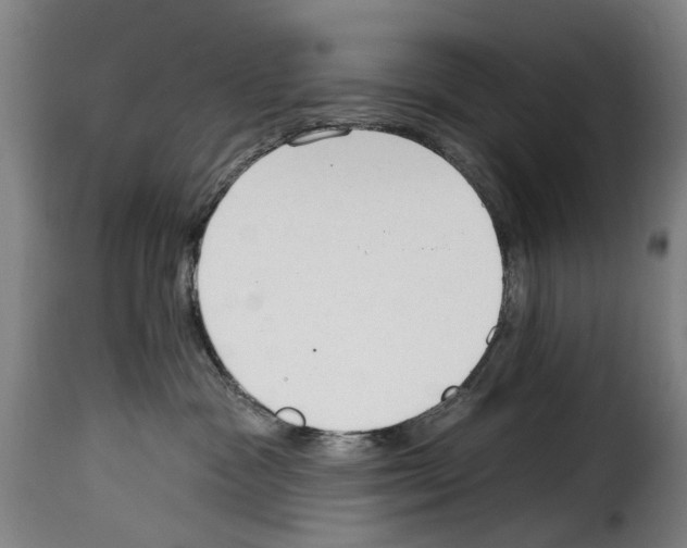 X0000114240333200911201139