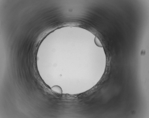 X0000114240337200911201138