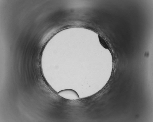 X0000114240341200911201138