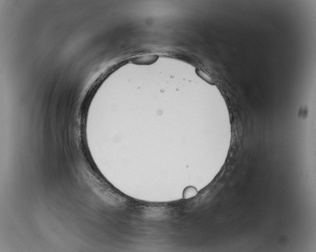 X0000114240342200911201138