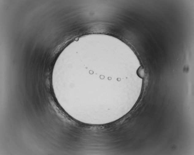 X0000114240345200911201138