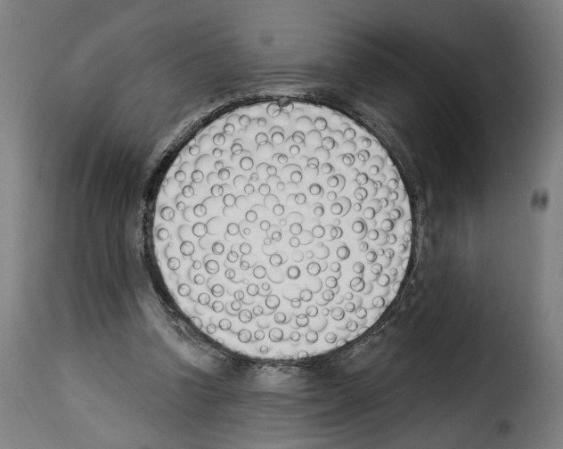 X0000114240346200911201138