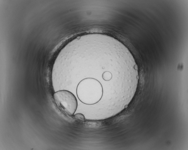 X0000114240347200911201138