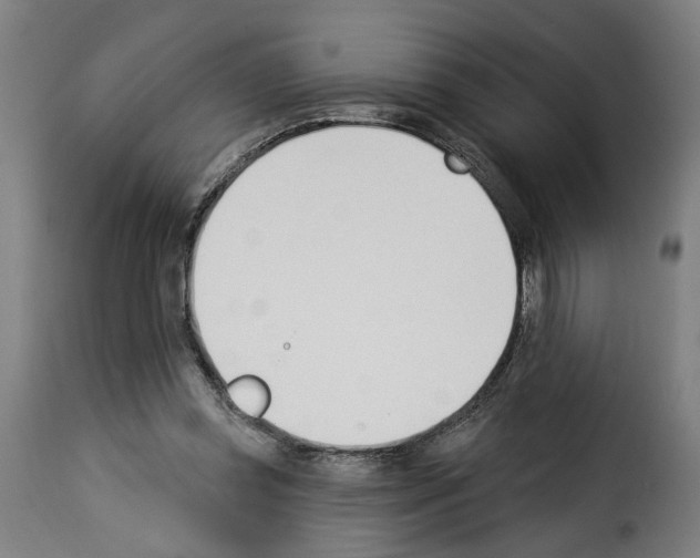 X0000114240349200911201139