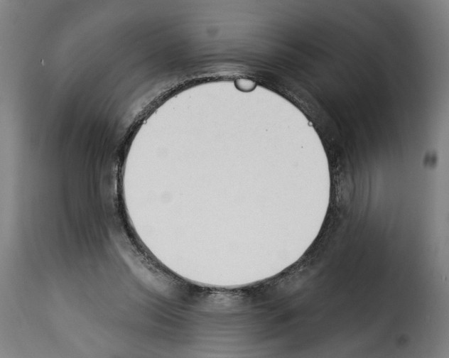 X0000114240350200911201139