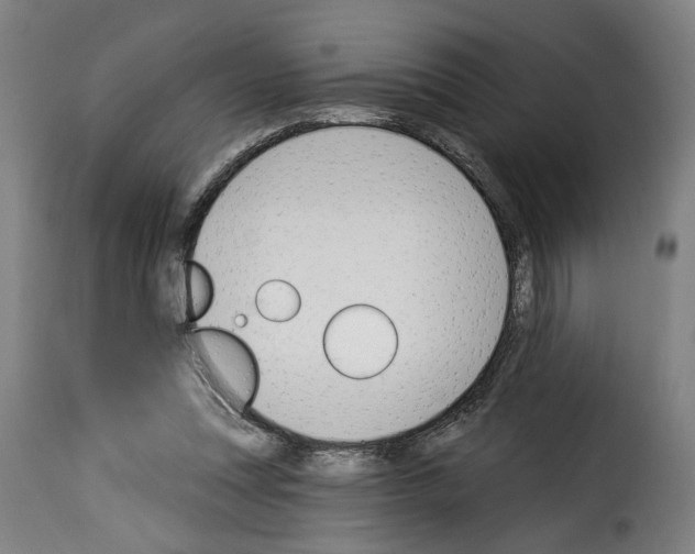 X0000114240351200911201139