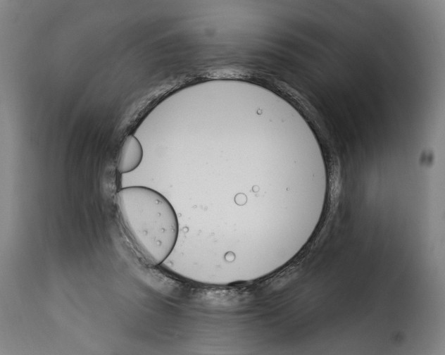 X0000114240353200911201139