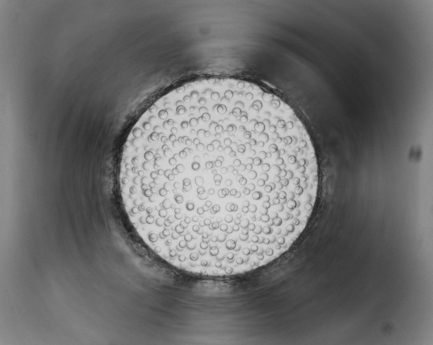 X0000114240354200911201139