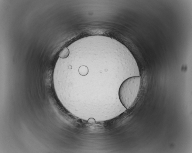 X0000114240359200911201139