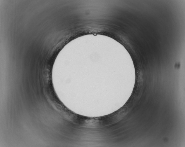 X0000114240362200911201139