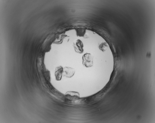 X0000114240365200911201139