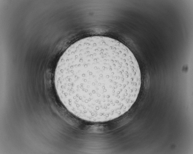 X0000114240366200911201139