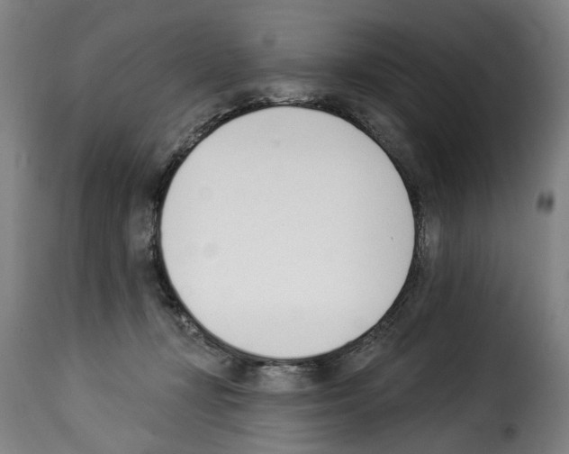 X0000114240367200911201139