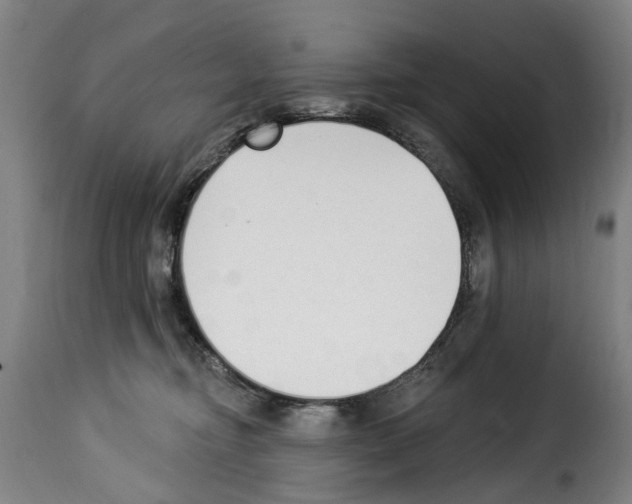 X0000114240374200911201139