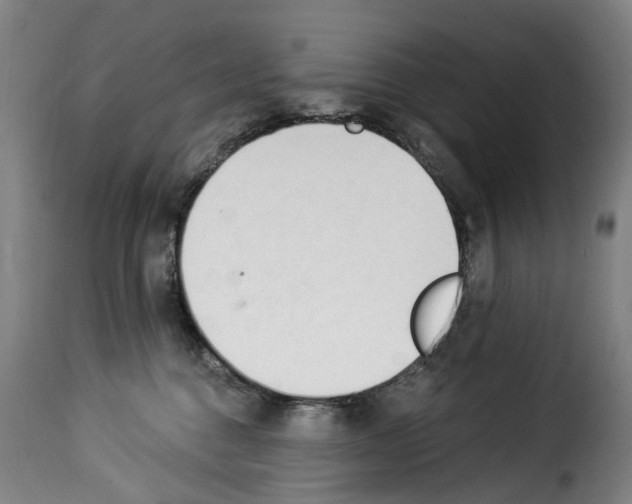 X0000114240376200911201139