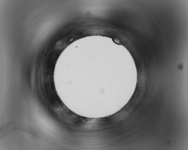 X0000114240382200911201139