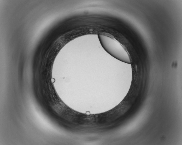 X0000114240383200911201139