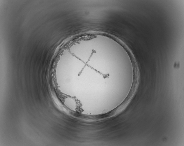 X0000114240384200911201139