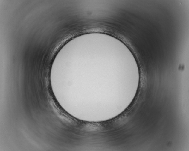 X0000114240386200911201138