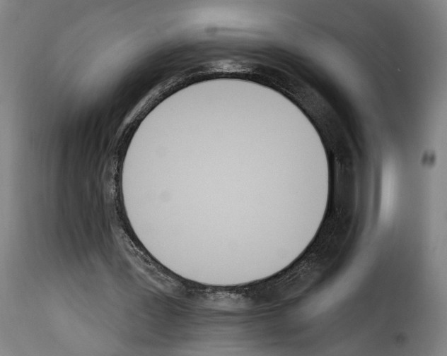 X0000114240387200911201138