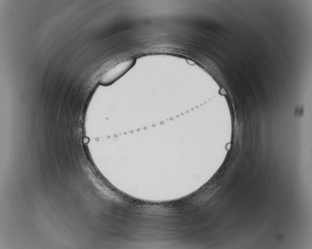 X0000114240389200911201138