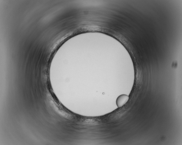 X0000114240390200911201138