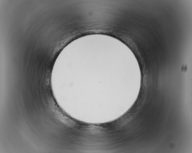 X0000114240393200911201138