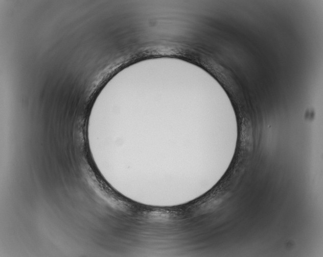 X0000114240394200911201138