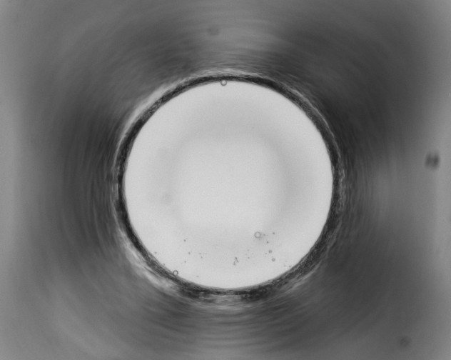 X0000114240395200911201138