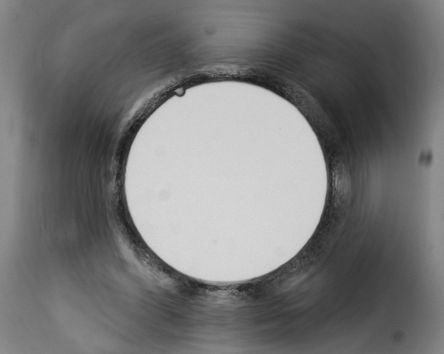 X0000114240396200911201138