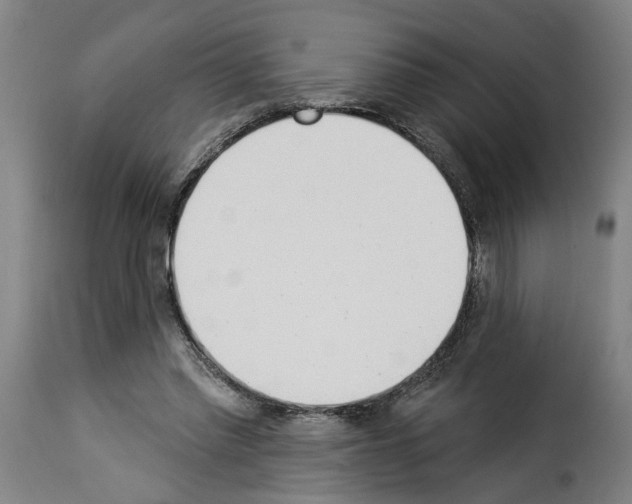 X0000114240397200911201138