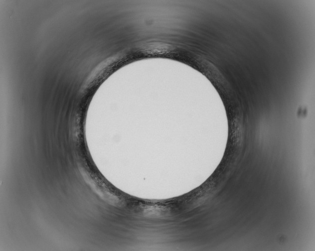 X0000114240400200911201138