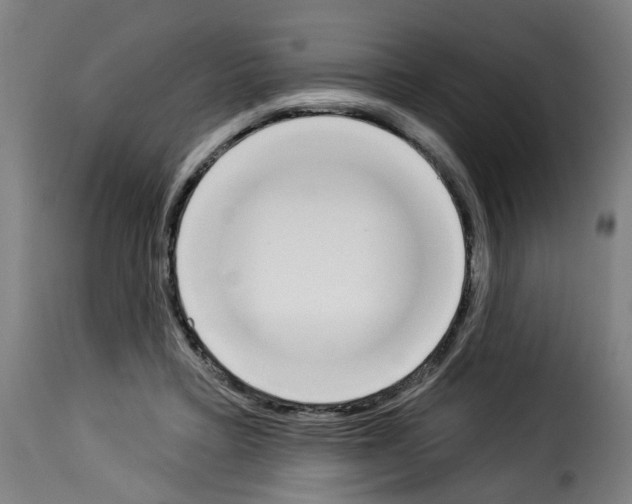 X0000114240403200911201138