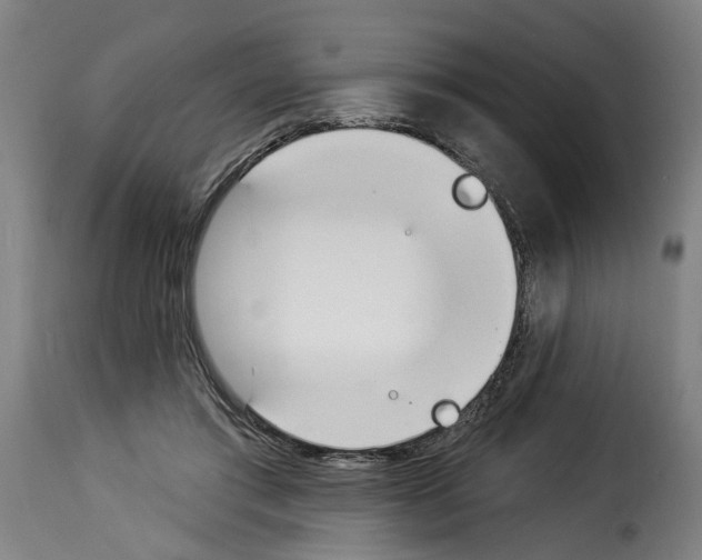 X0000114240405200911201138