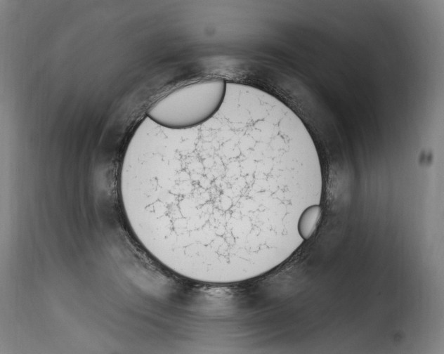 X0000114240409200911201138