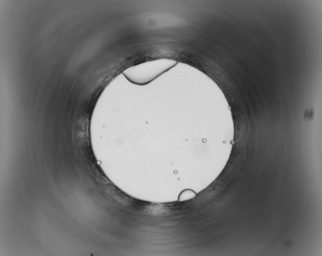 X0000114240425200911201138