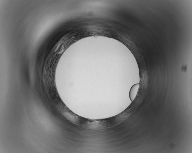 X0000114240430200911201138