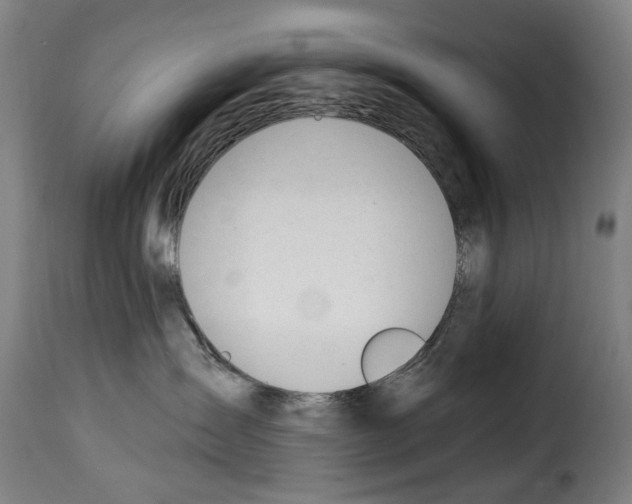 X0000114240431200911201138