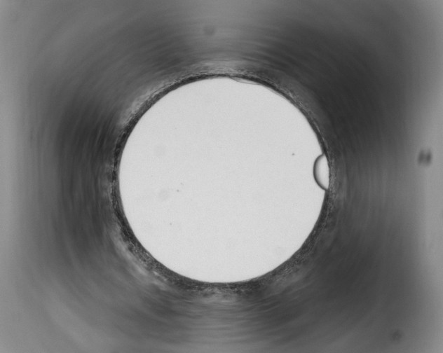 X0000114240434200911201137