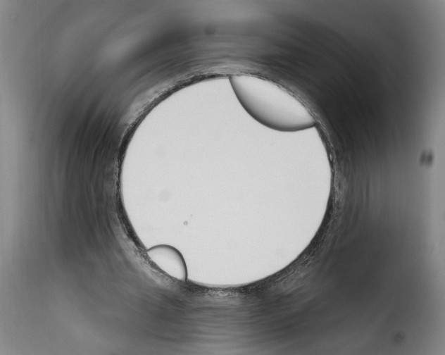 X0000114240437200911201137