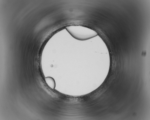 X0000114240439200911201137