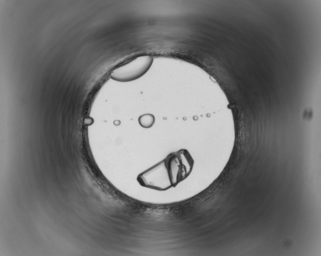 X0000114240440200911201137