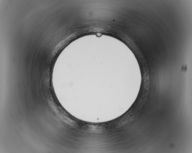 X0000114240442200911201137