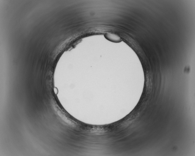 X0000114240445200911201137