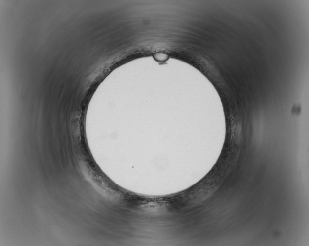 X0000114240447200911201137