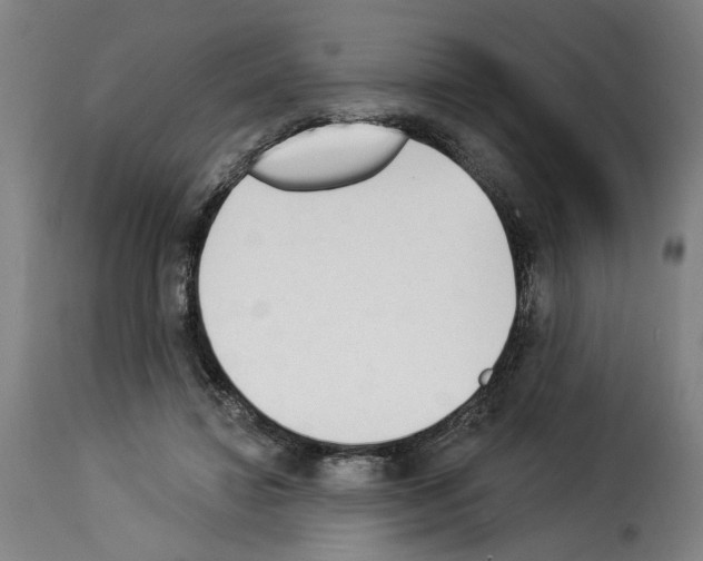 X0000114240452200911201137