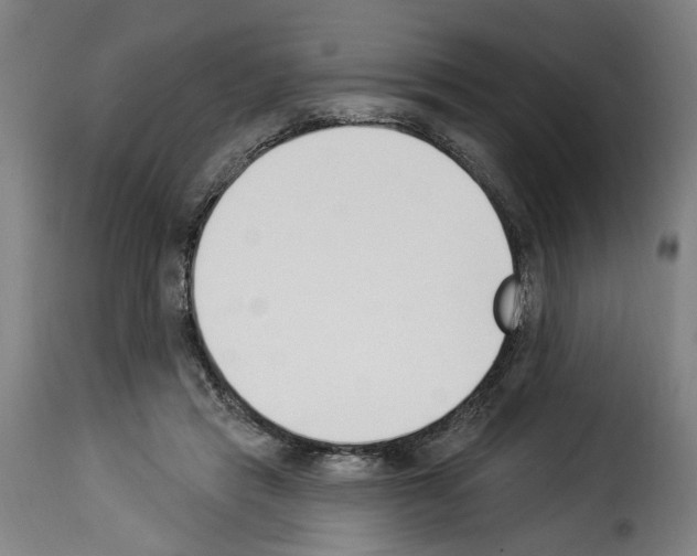 X0000114240453200911201137