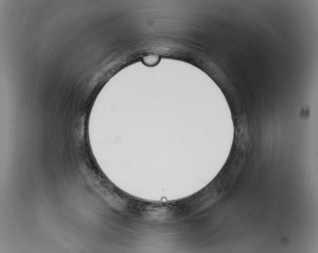 X0000114240454200911201137